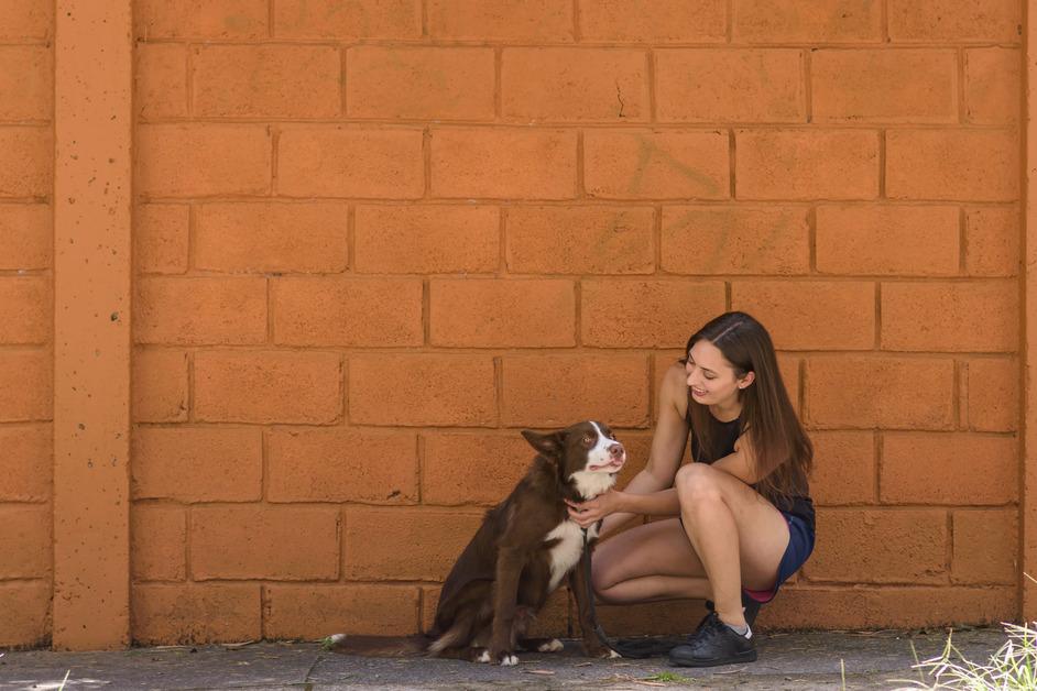 Woman petting a dog