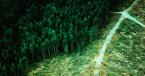 what is sustainable forestry