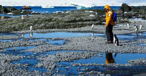 An expeditioner watches a penguin in Antarctica. (Representative Cover Image Source: Pexels | Karson)