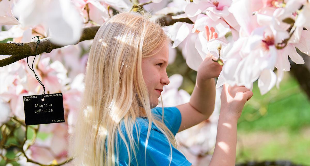 Girl looking at flowers