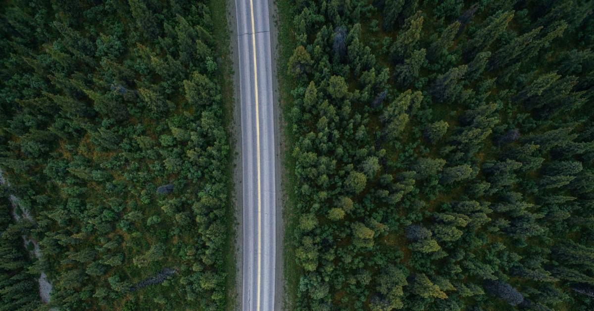 Wide open road surrounded on either side by trees in the middle of nowhere