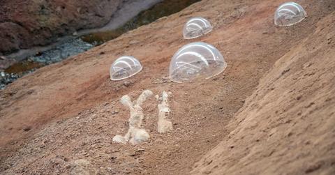 Dinosaur bones at the Tsintosaurus fossil site at the Laiyang Cretaceous National Geopark in Yanta in 2023