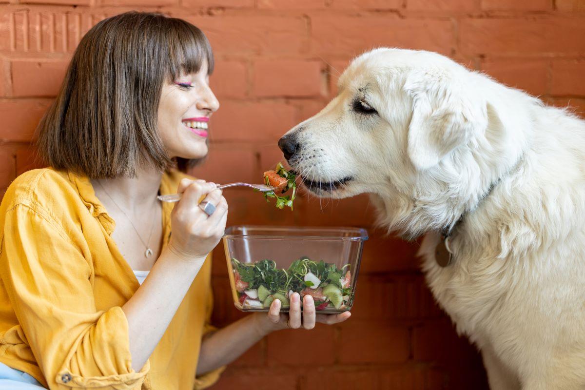 Woman feeding her dog a salad.