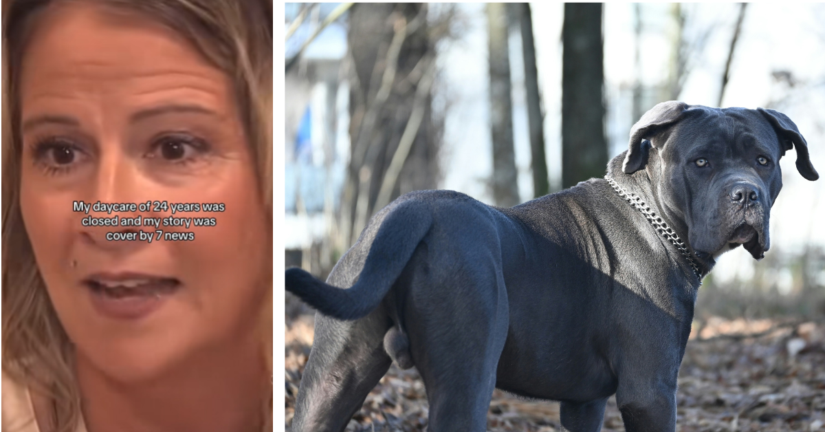 Parents Outraged After Daycare Shut Down Because of Dogs