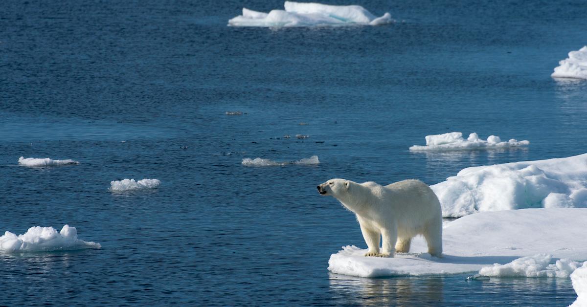 Arctic Summers Will Be Ice-Free 30 Years From Now