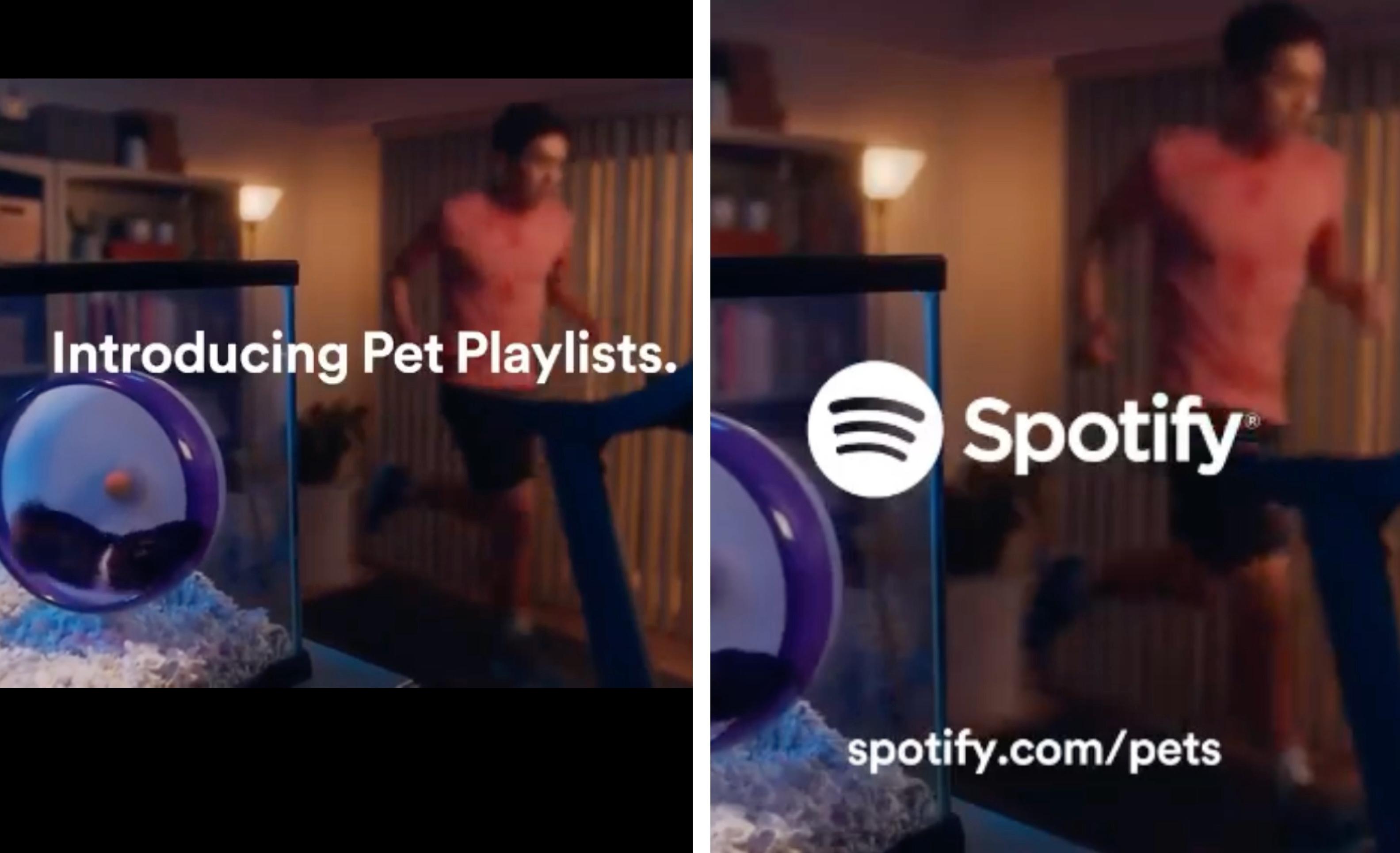 A collage depicts the introduction of the Pet Playlists feature on Spotify with a hamster on a wheel beside a man on a treadmill.