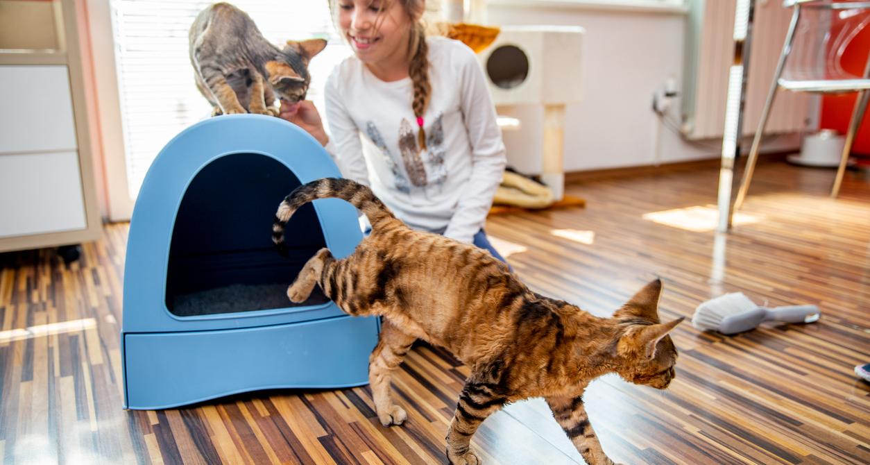 Here's How to Humanely Keep Your Dog out of the Litter Box
