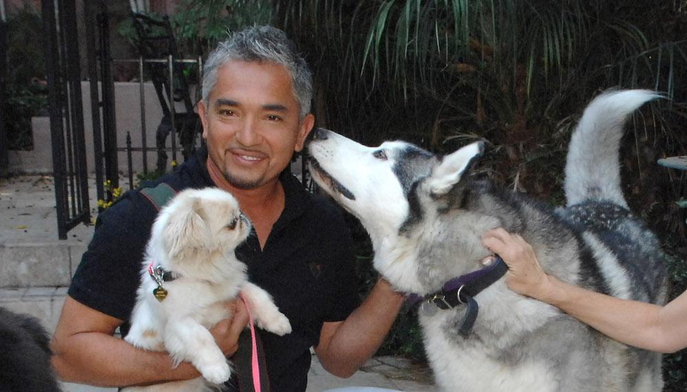 Cesar Millan