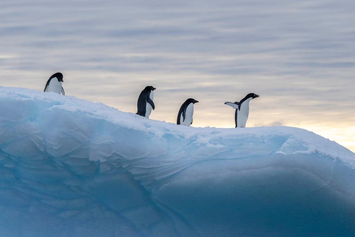 pn/bff eb dd b facde