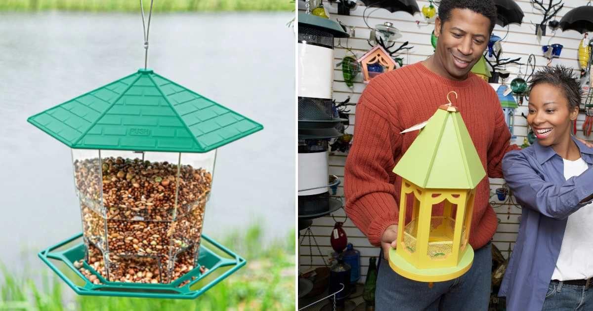 (L) PHANCIR Bird Feeder for Outdoor Hanging (Cover Image Source: Walmart) | (R) Northern Cardinal on Birdfeeder. (Representative Image Source: Getty Images | doug4537)