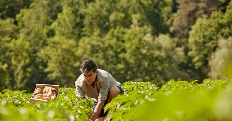 Organically Grown Food