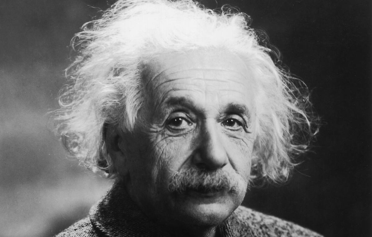 was albert einstein vegan