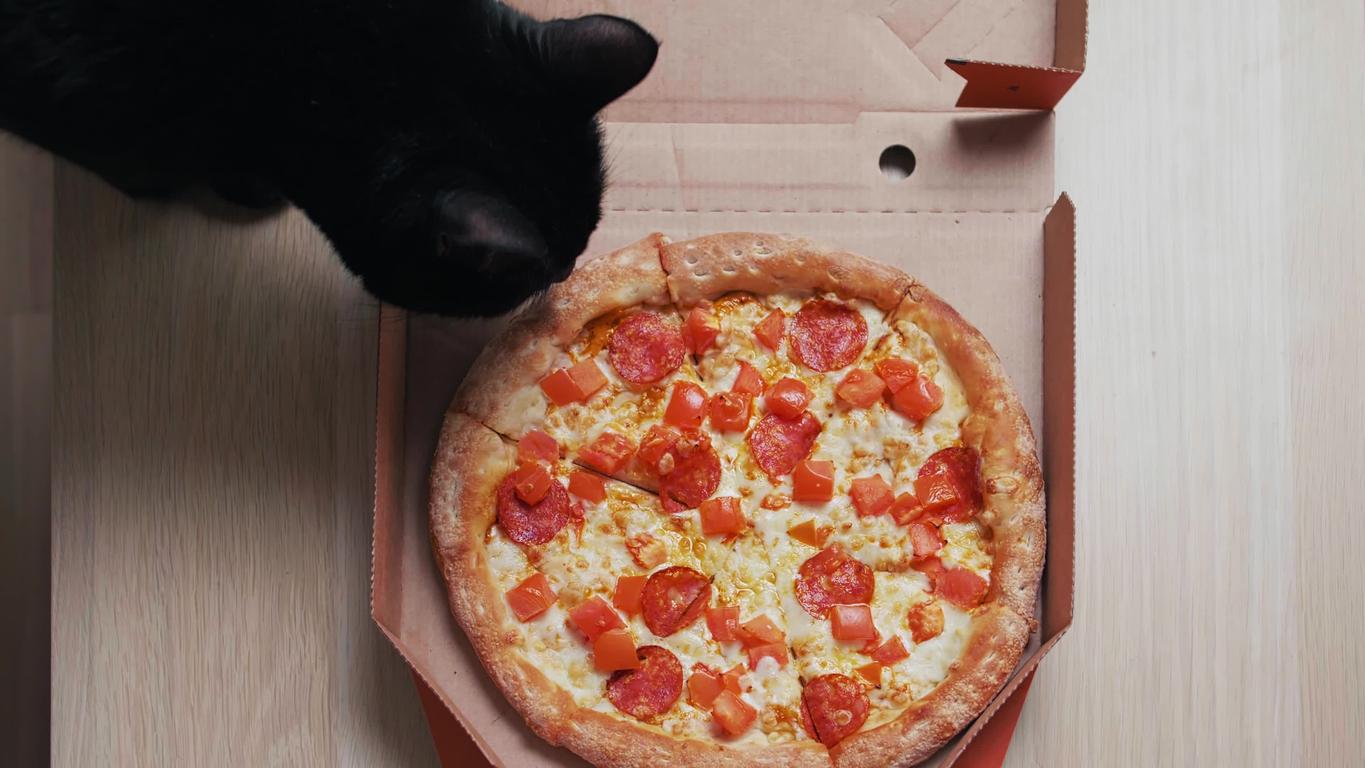 Overhead view of a black cat hovering over a pepperoni pizza.