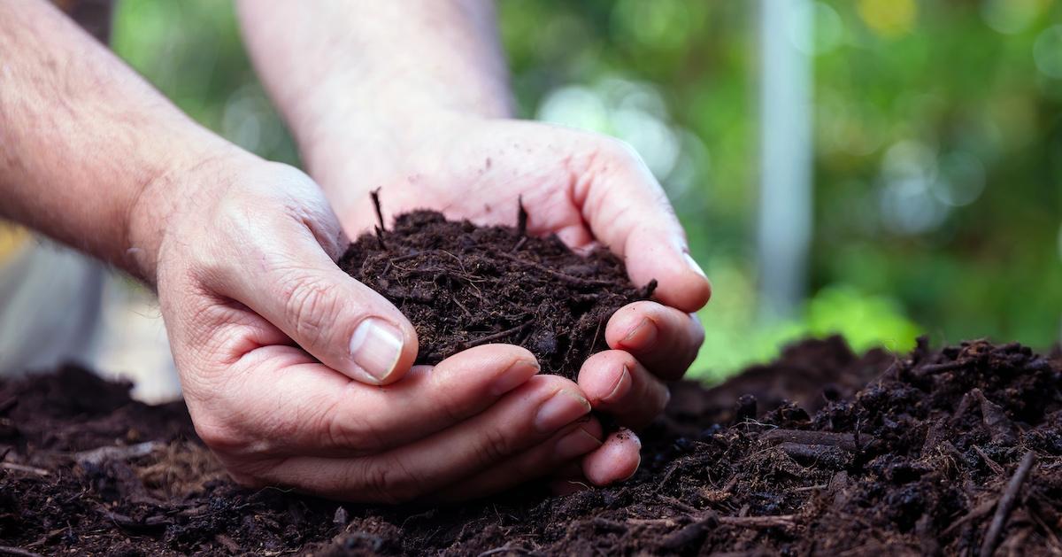 Pair of hands holds a handful of soil on the ground