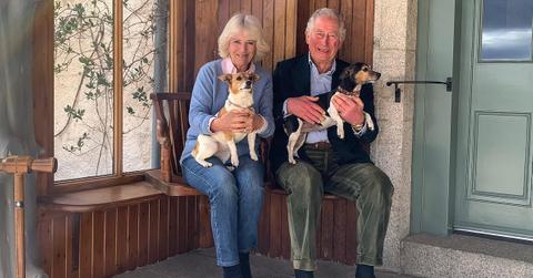 king charles and queen camila with their dogs