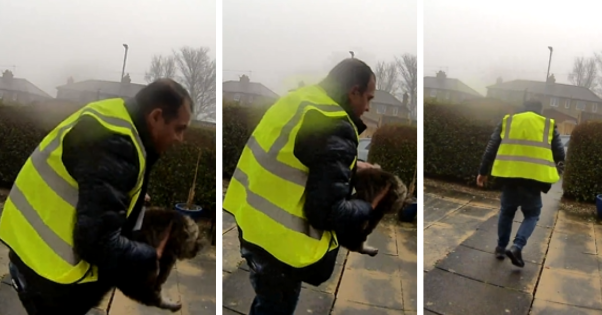 A man in a yellow vest picks up a cat and carries her away