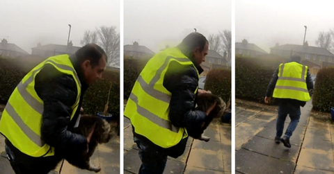 A man in a yellow vest picks up a cat and carries her away