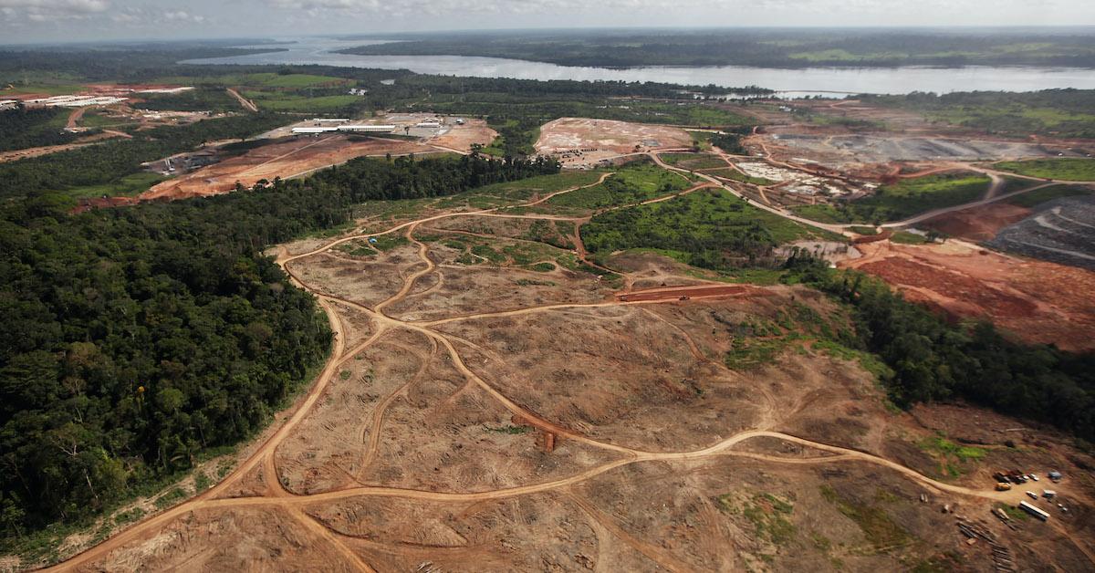 Amazon Rainforest Now Produces More CO2 Than It Absorbs in Some Areas