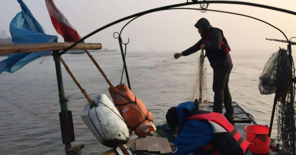 The Yangtze River fishing ban has halted seven decades of biodiversity decline. (Cover Image Source: Institute of Hydrobiology)