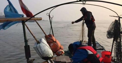 The Yangtze River fishing ban has halted seven decades of biodiversity decline. (Cover Image Source: Institute of Hydrobiology)