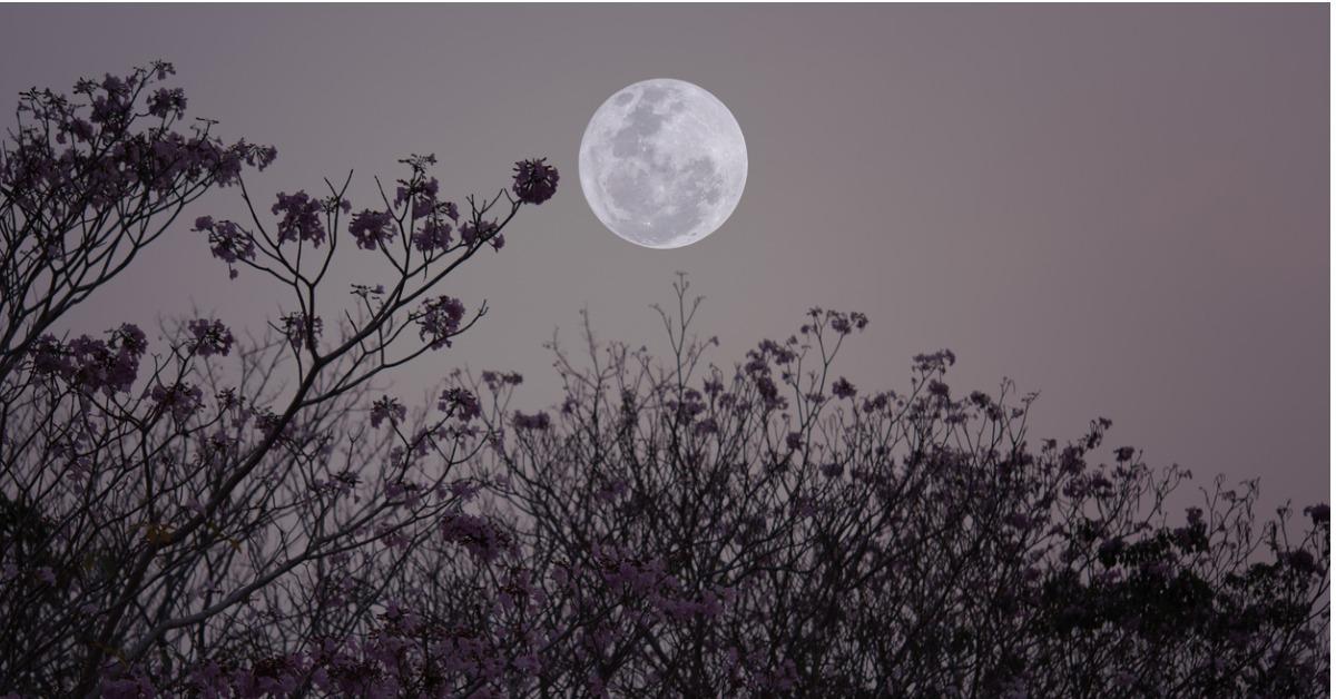 What is the Spiritual Significance of the Super Blue Moon?