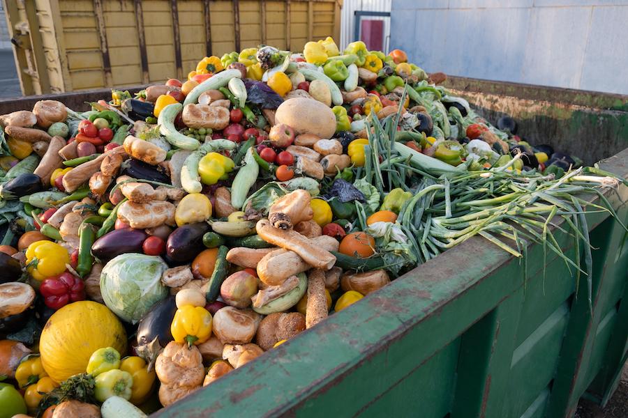 Organic food waste in a dumpster