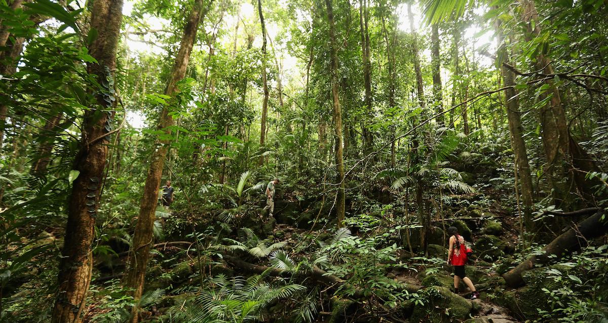 Will the Earth Ever Run Out of Oxygen?