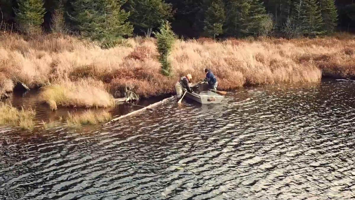 pn/ee ebf aa ba fbffaf