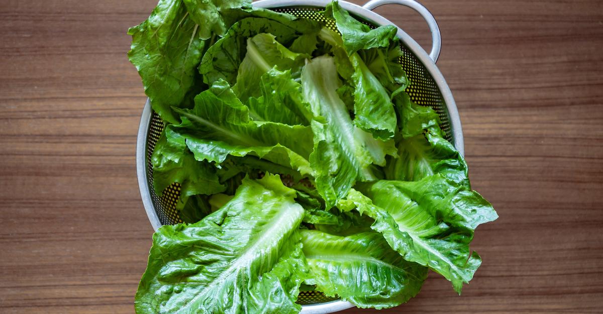 romaine recall