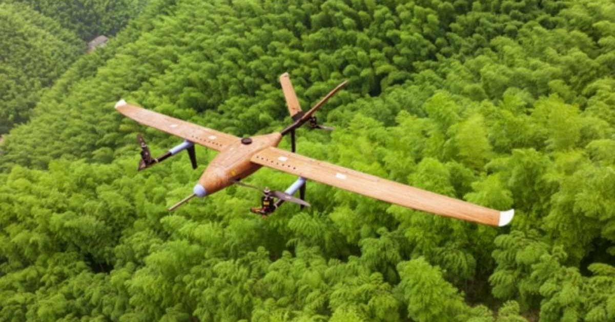 Chinese scientists create the world's first bamboo fiber fixed-wing drone. (Cover Image Source: Xinhua)