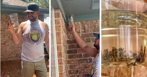 Screenshots from TikTok video of hack for killing wasps.