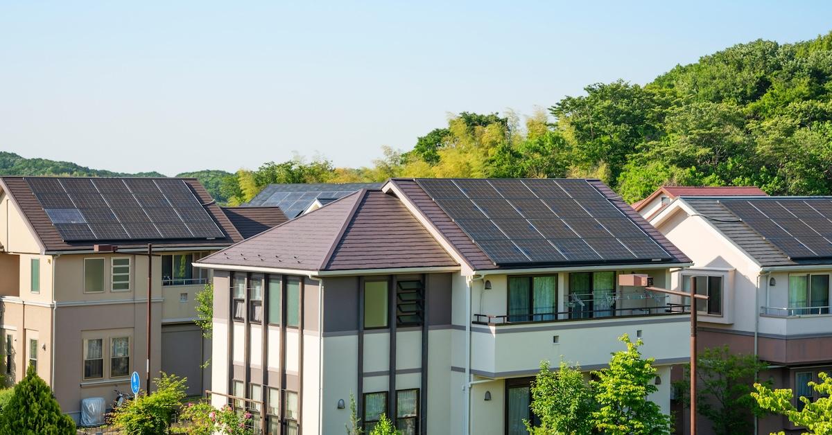 Palmetto Solar panels on top of several buildings