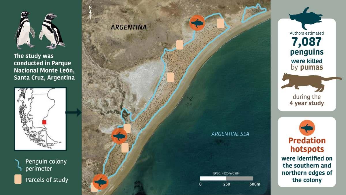 pn/aafd dee be c cfc