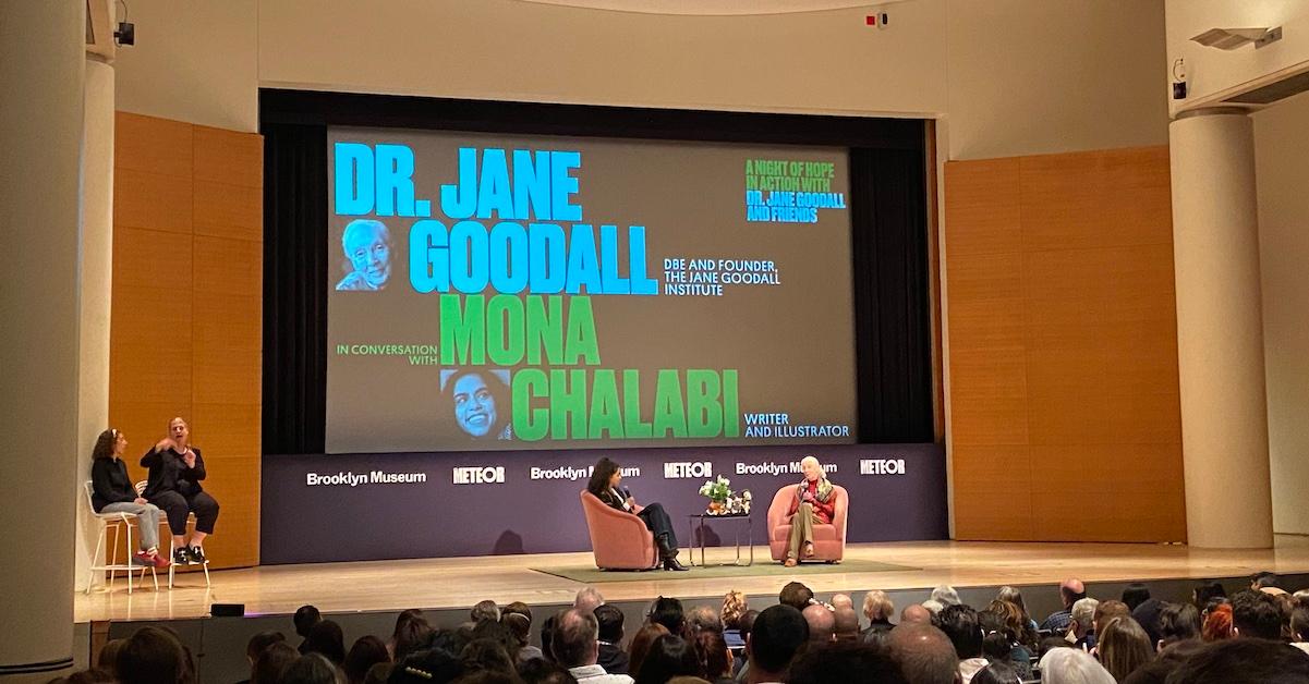 Jane Goodall at the Brooklyn Museum