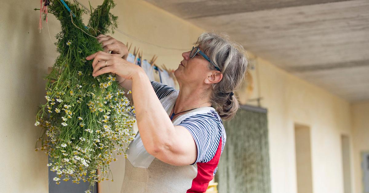 dry out flowers bouquets