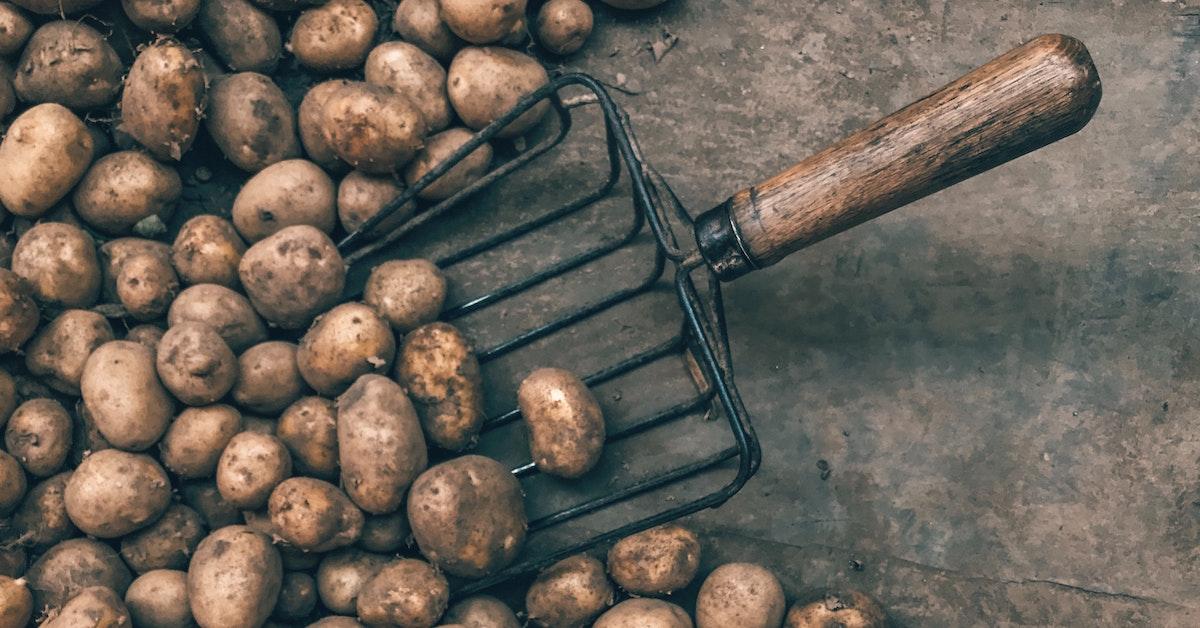 Are potato sprouts safe to eat?