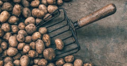 Are potato sprouts safe to eat?