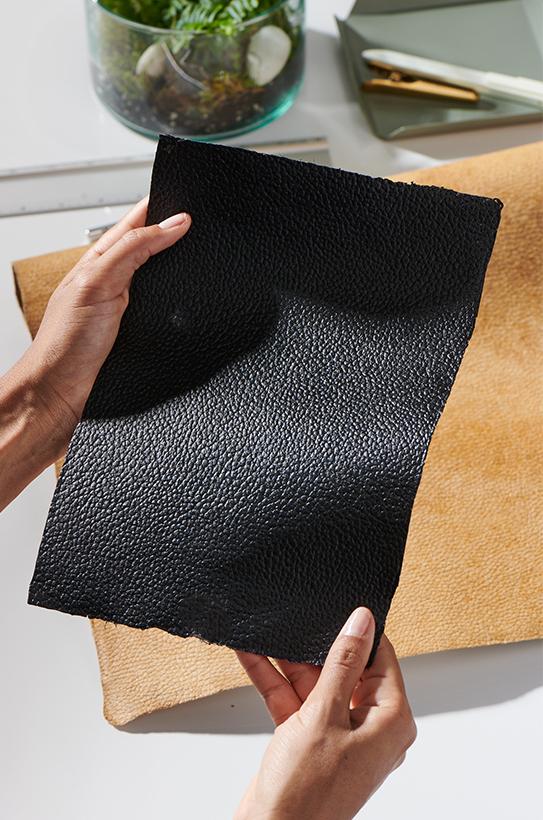 Is Mushroom the future of vegan leather alternatives? - Renoon