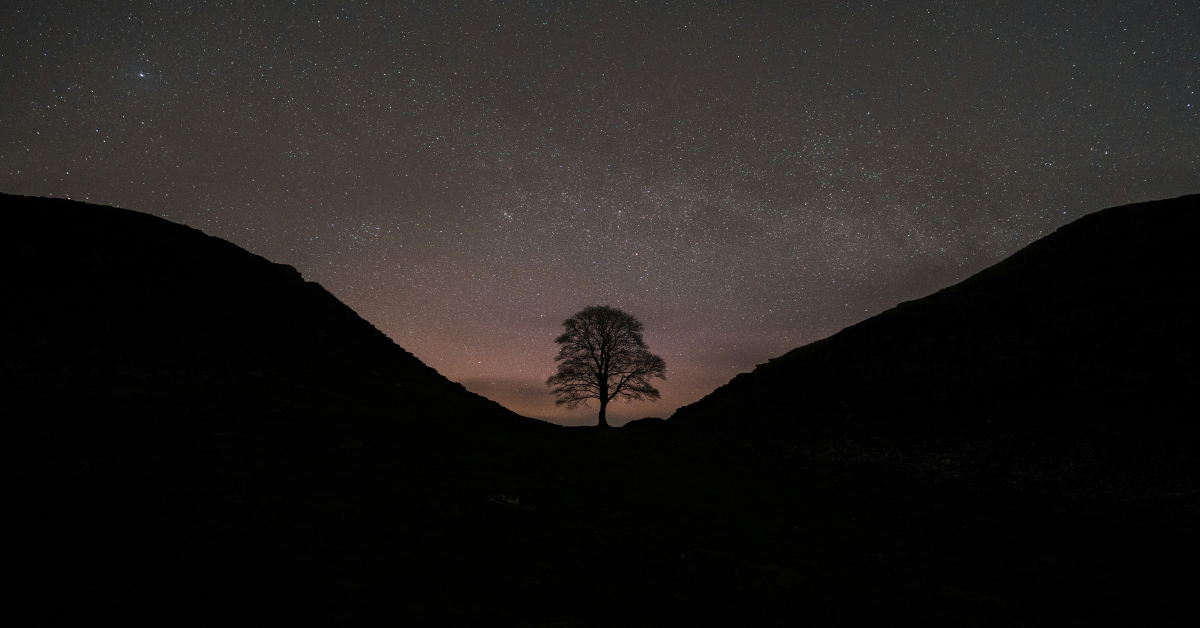 The stars shine bright behind the silhouette of the Sycamore Gap