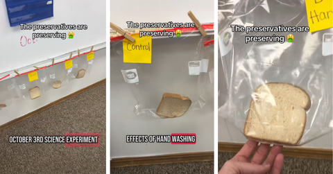 A teacher shows multiple bags of individual bread slices that have not begun to mold after months