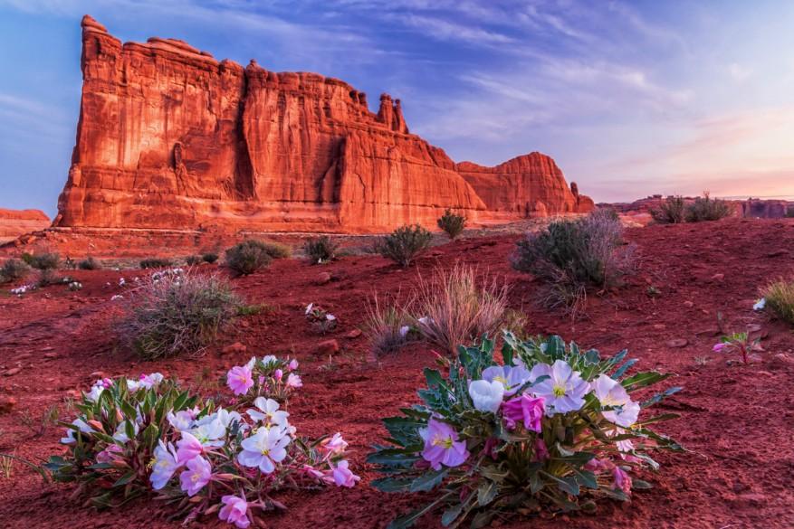 The Tower of Babel rock formation is pictured during the spring in Arches National Park near Moab, Utah.