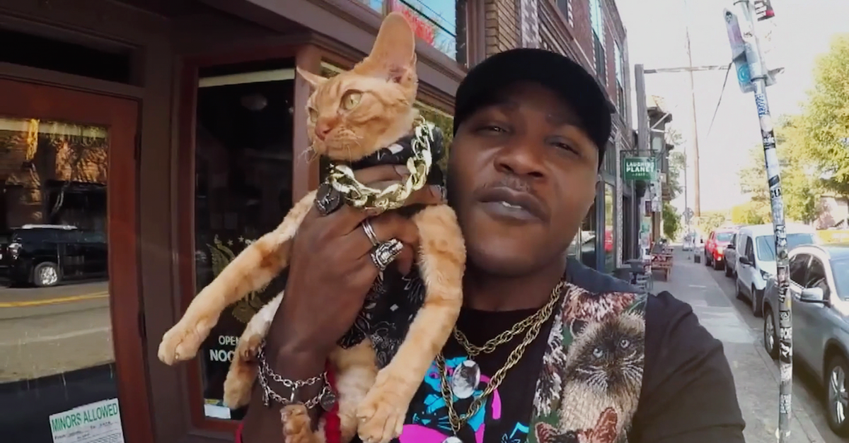 Cat Rapper