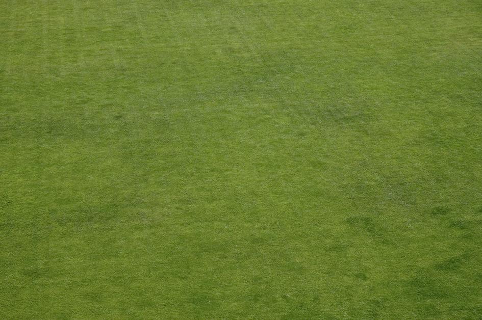 An aerial view of a grass field. 