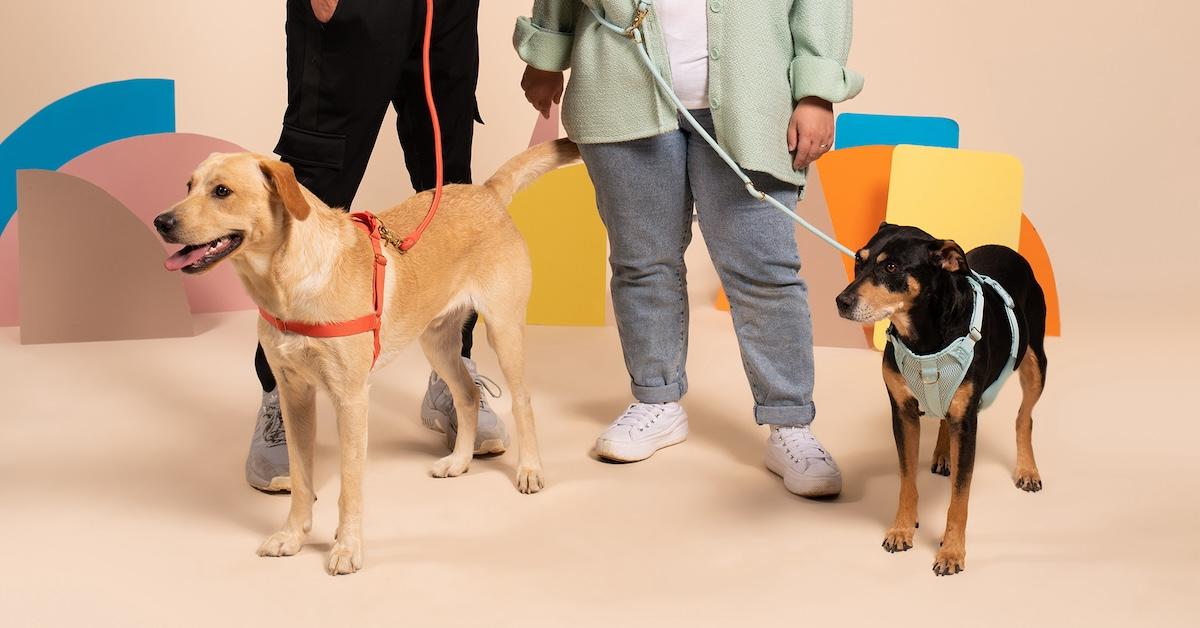 Two people with dogs on leashes in front of peach background