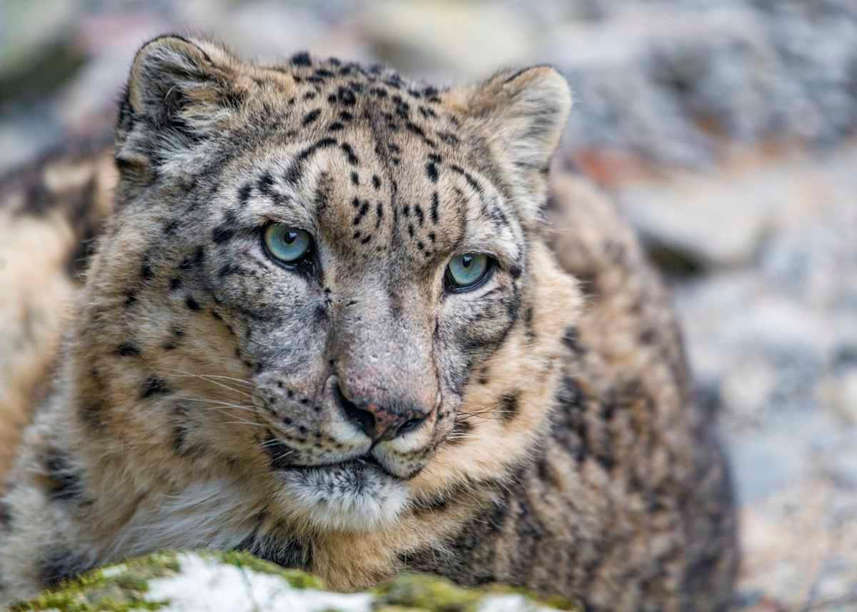 pn/ddcd df d b beffaec