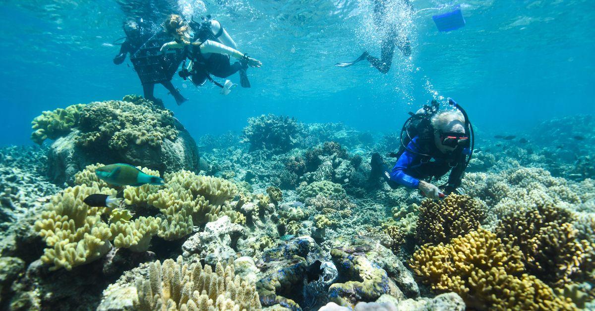 Great Barrier Reef Restoration Efforts