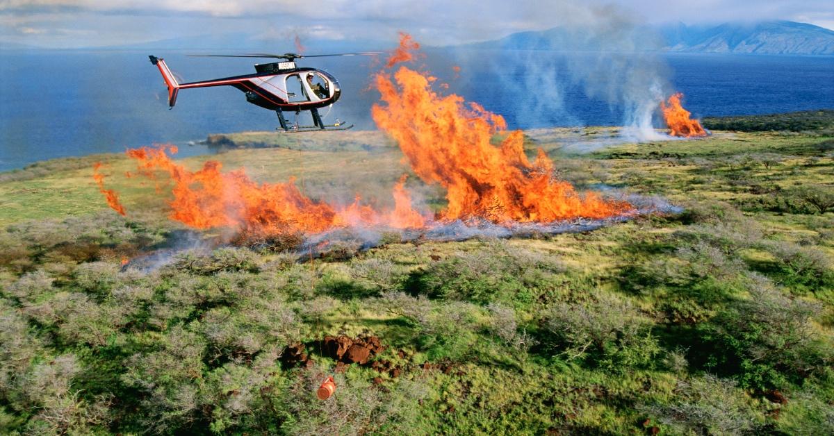 How Do Wildfires Start Naturally? Here's What You Should Know
