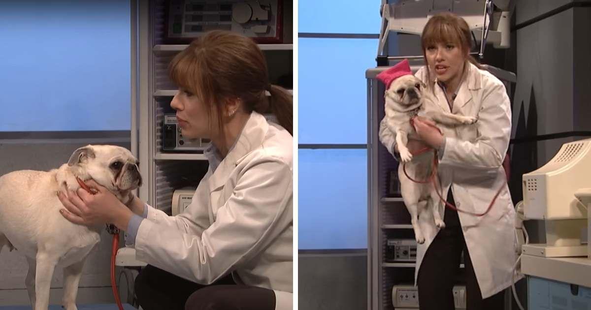 Screenshot of a SNL skit featuring Scarlett Johansson and a dog. (Cover Image Source: YouTube | SNL)