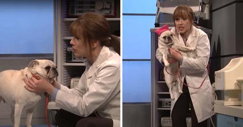 Screenshot of a SNL skit featuring Scarlett Johansson and a dog. (Cover Image Source: YouTube | SNL)