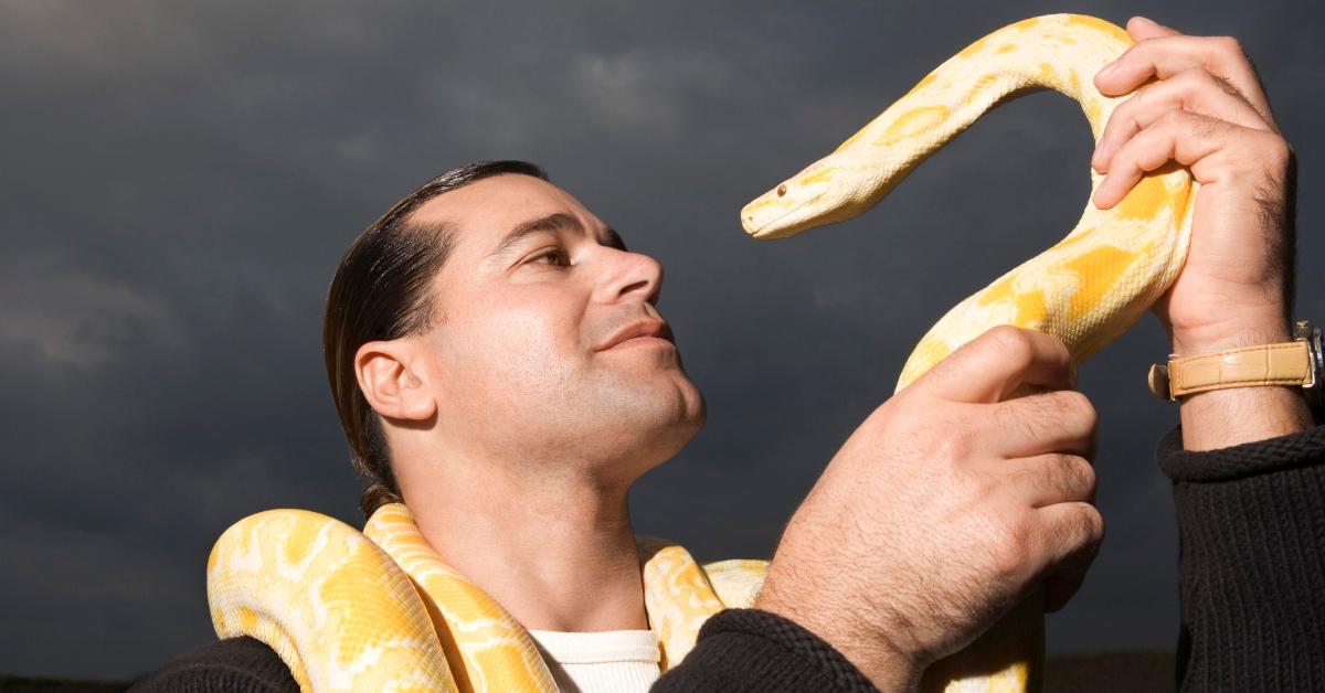 A man holds an Albino Burmese python.